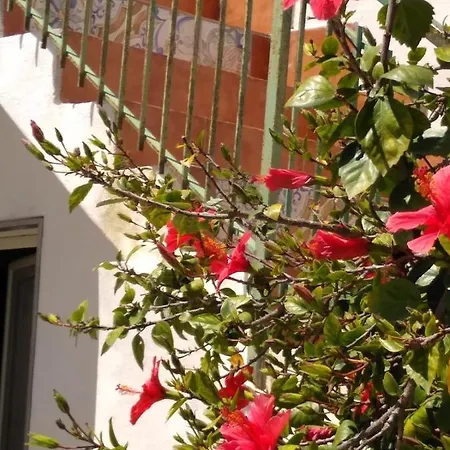 Casale Hibiscus Semesterbostad Santa Maria Del Focallo
