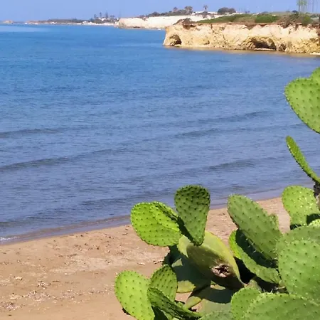 Casale Hibiscus Santa Maria Del Focallo