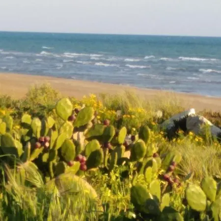 Dom wakacyjny Casale Hibiscus Santa Maria Del Focallo
